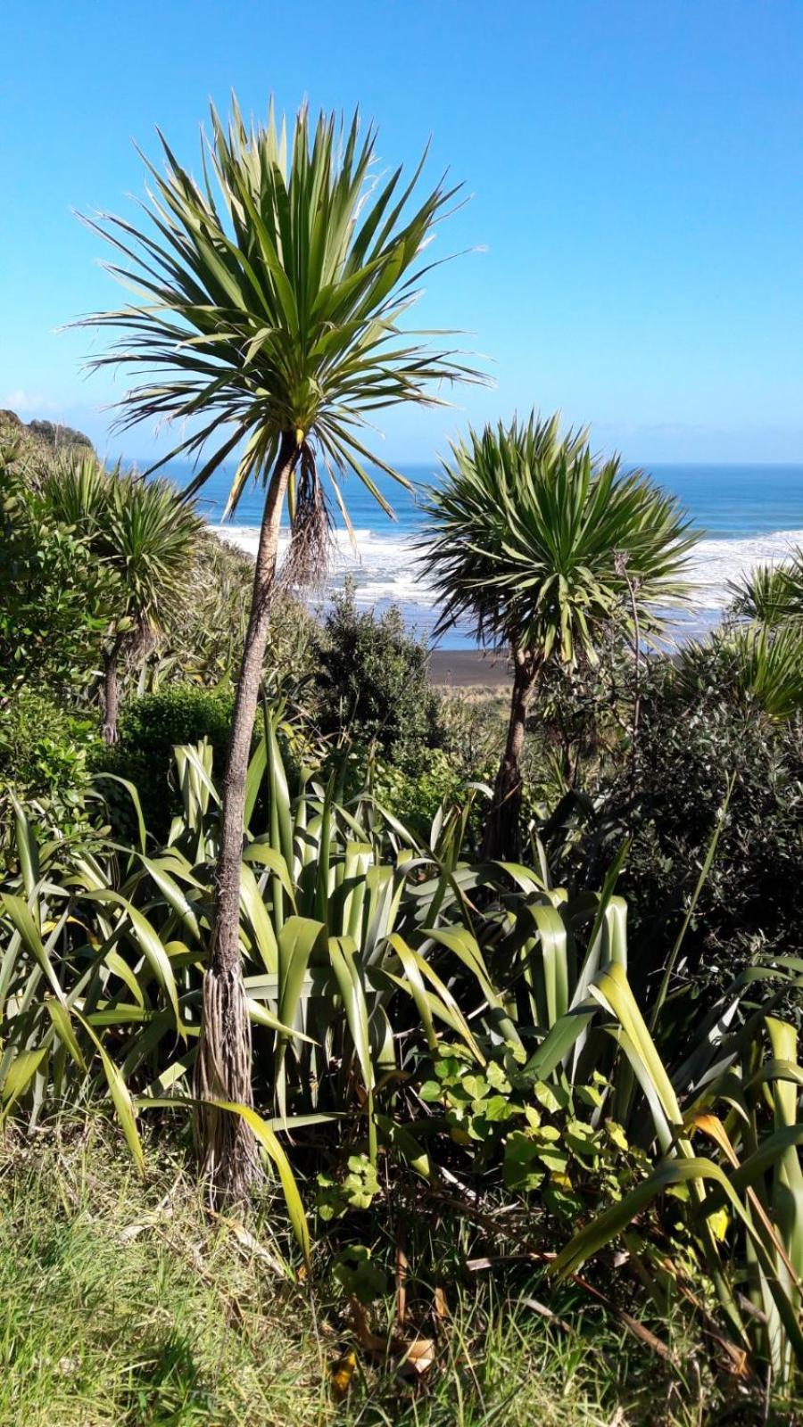 Te Henga Hideaway * Bethells Beach