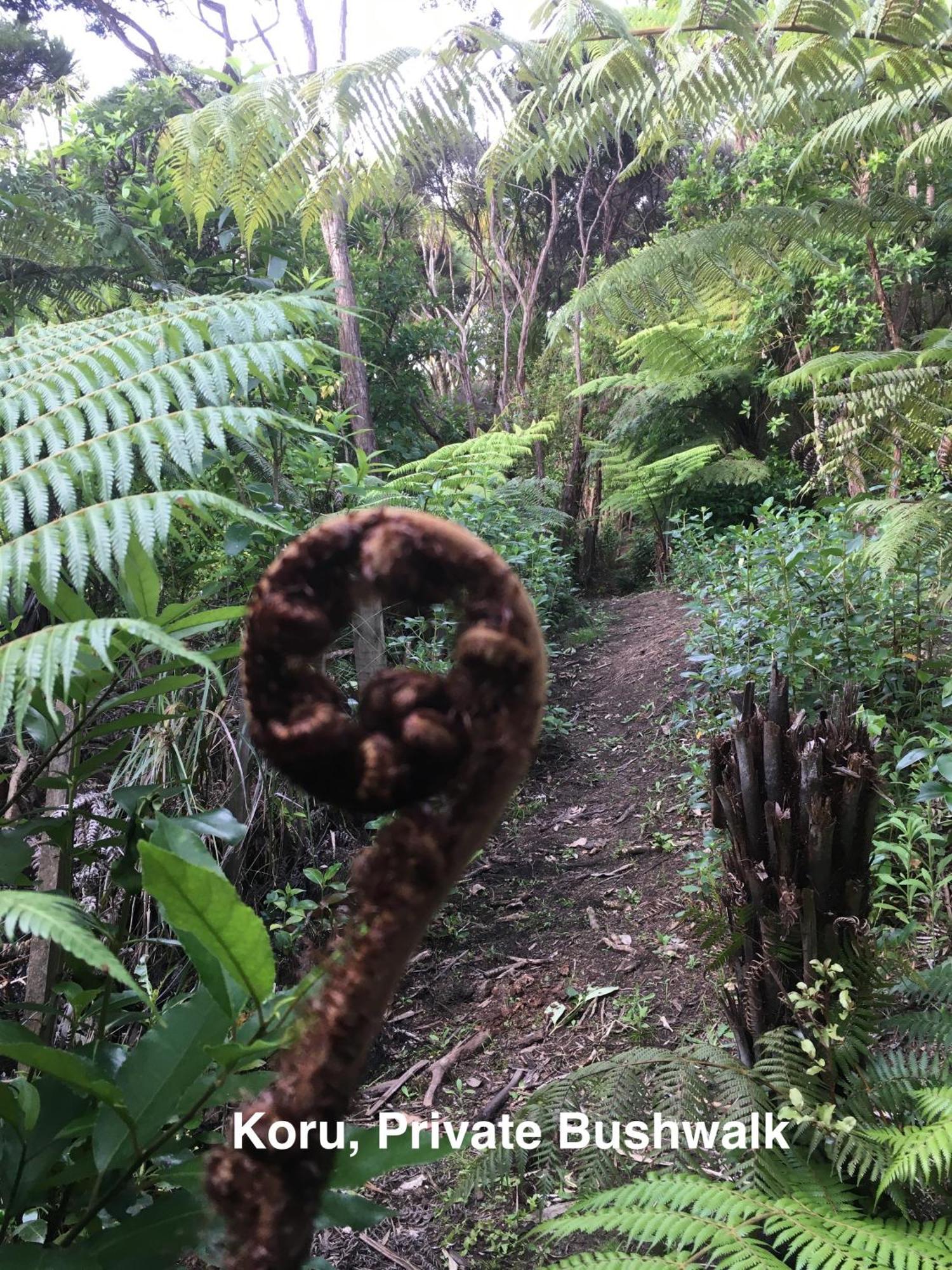Te Henga Hideaway Holiday home Bethells Beach