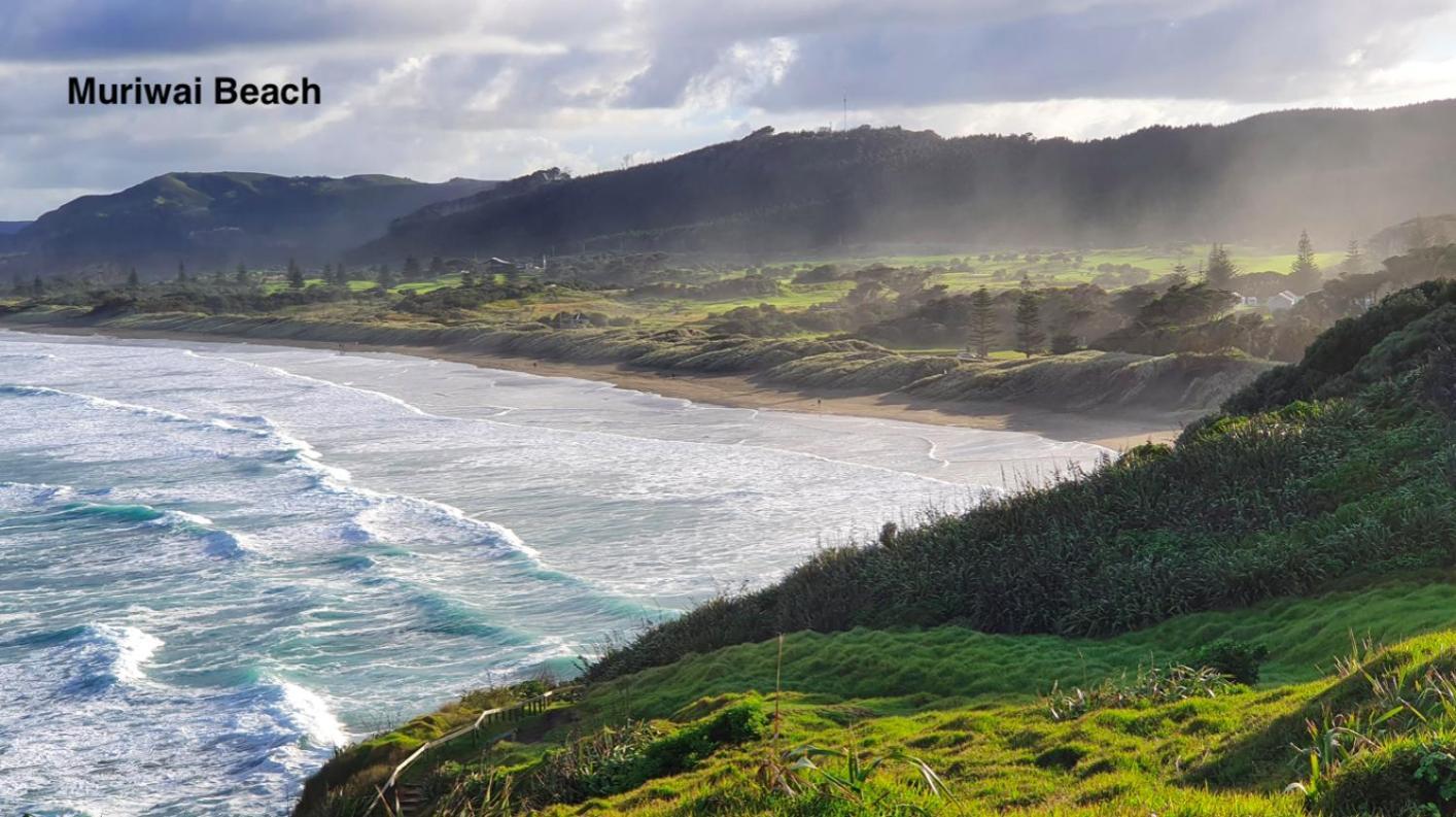 Te Henga Hideaway Bethells Beach