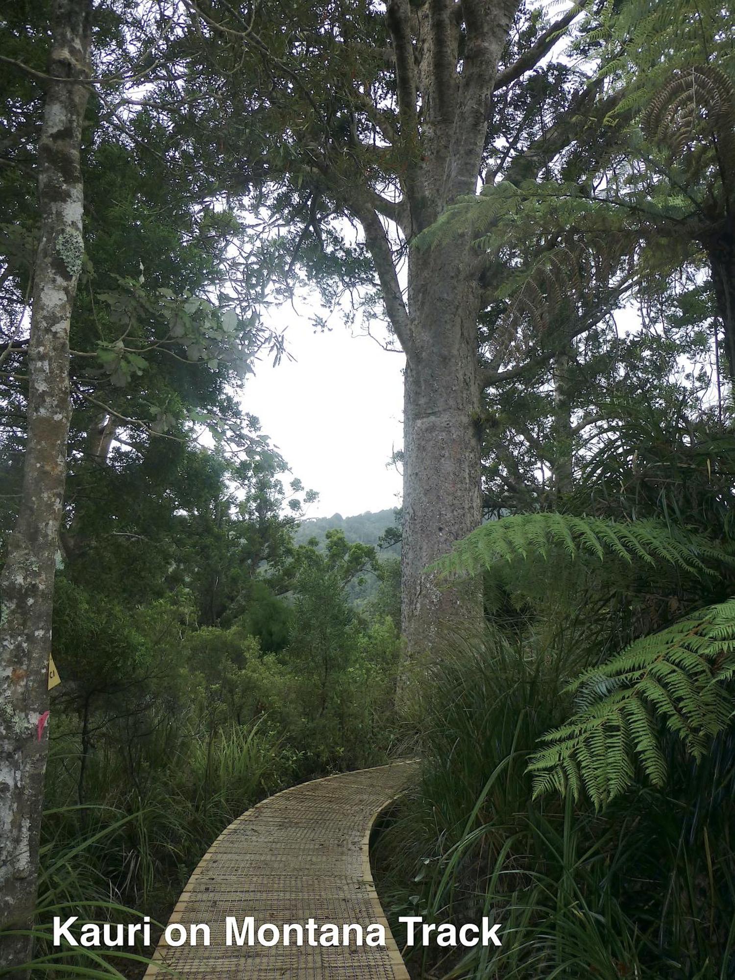 Te Henga Hideaway Holiday home