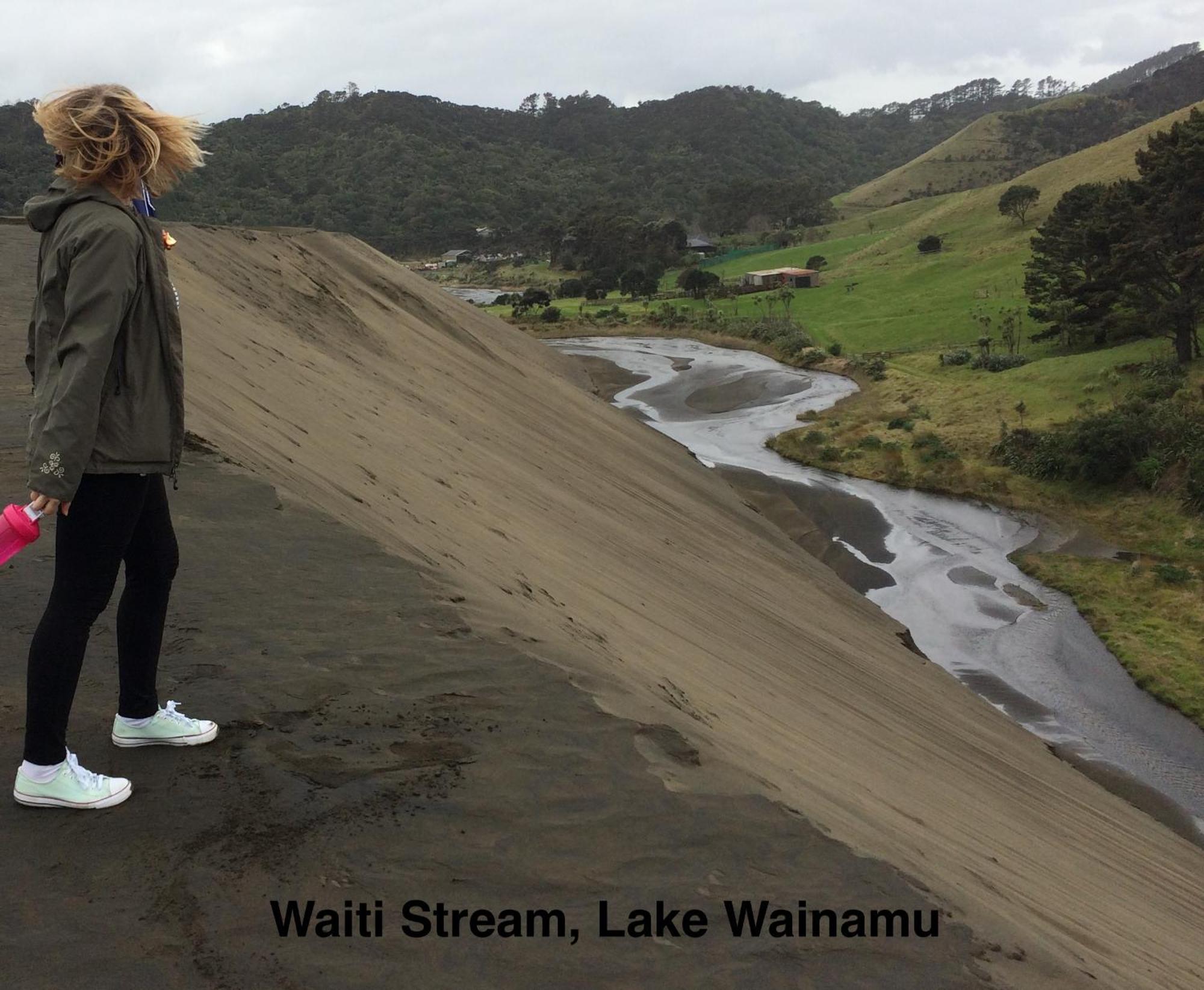 Te Henga Hideaway Holiday home Bethells Beach