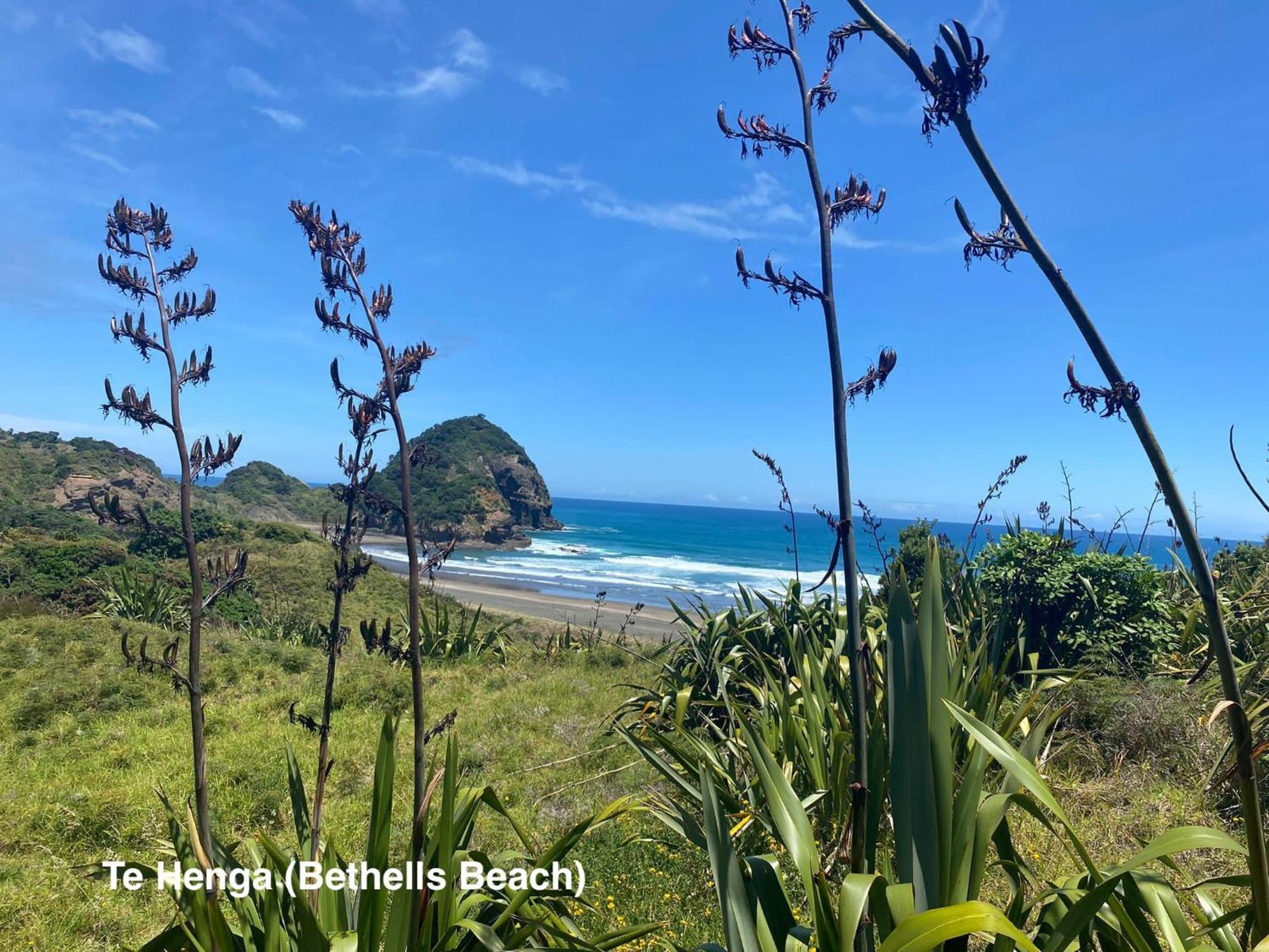 Te Henga Hideaway Holiday home